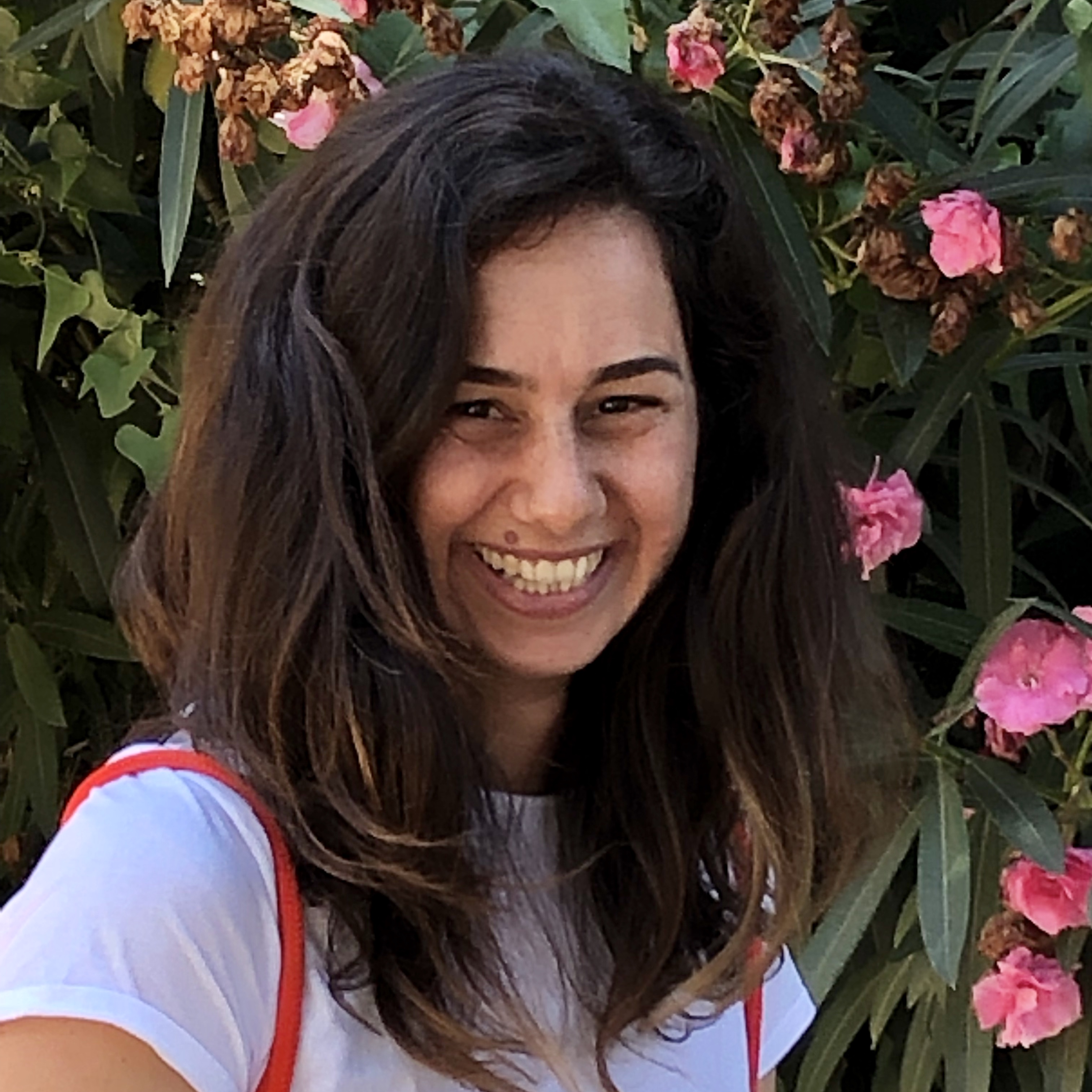 מאיה ב בוקאי